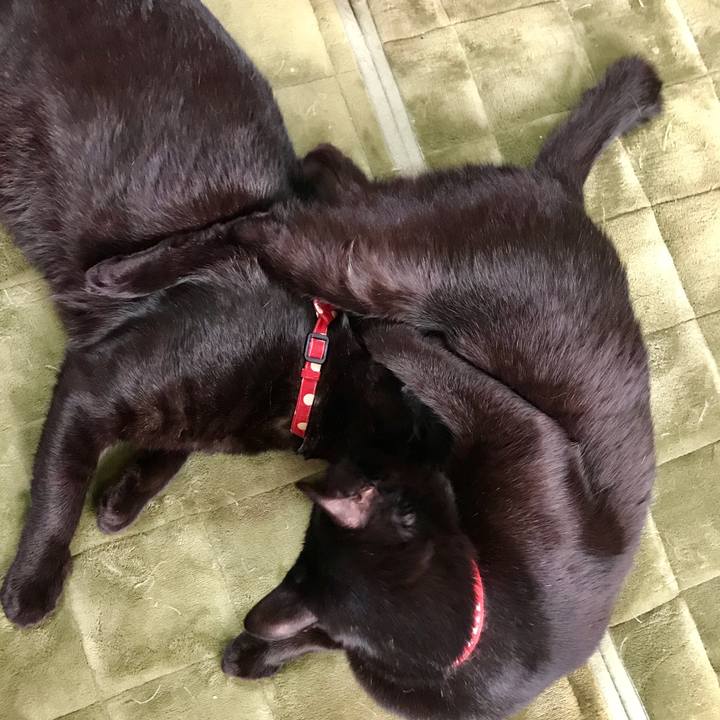 25e6f501 a82d 4077 acf8 eebbcf40bfff 1519886289931