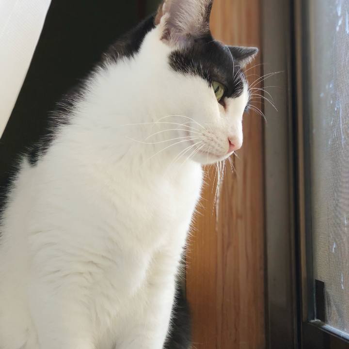 25e6fb1f 583d 4194 abb9 9ec30c9d9e7a 1542247192419