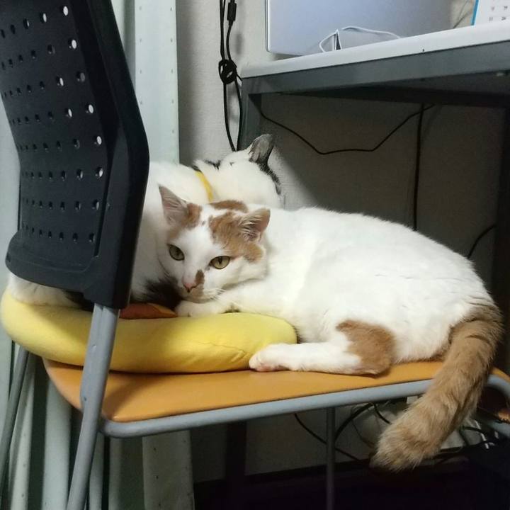 25e70627 7db7 45bf bdd2 69bb59bc74a1 1697797721304