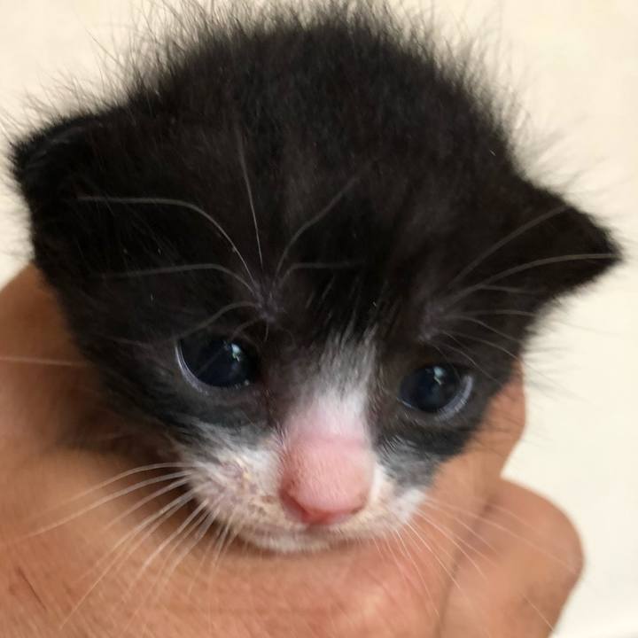 25e78519 e477 4d8e 9d0f 5bf076adea8c 1596716562120