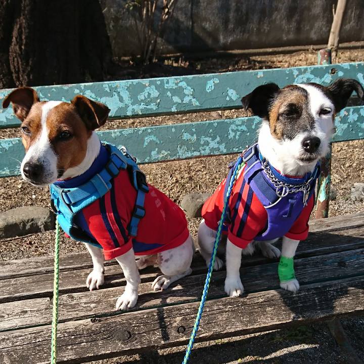 25e792c2 c9c9 4802 979e 395e62227bb4 1612662028703