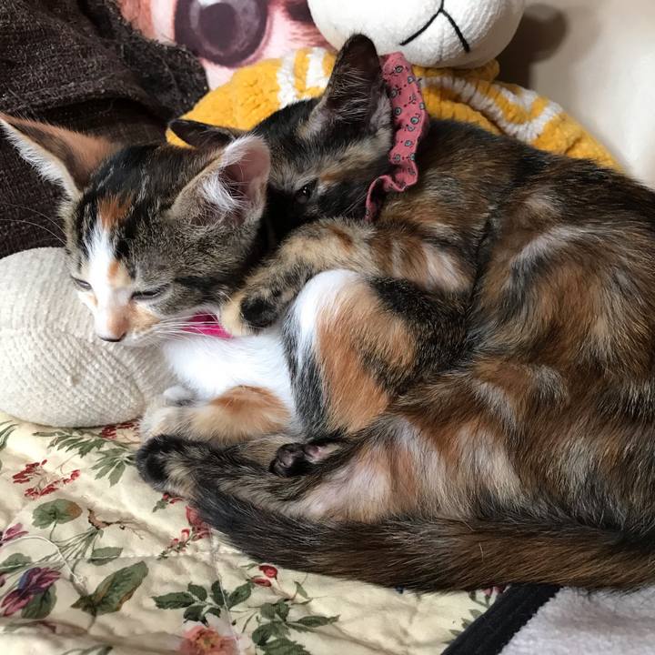 25e7c415 6dbe 4a21 8e4e a45bcb3274cb 1598392304350