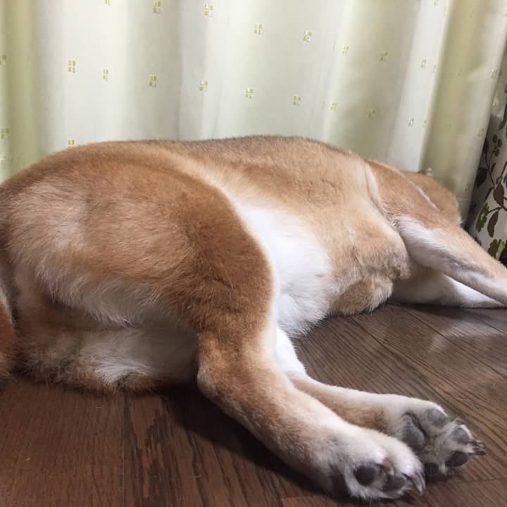 25e7ca87 24d3 4c7c be01 cf8ed6180868 1525444576739