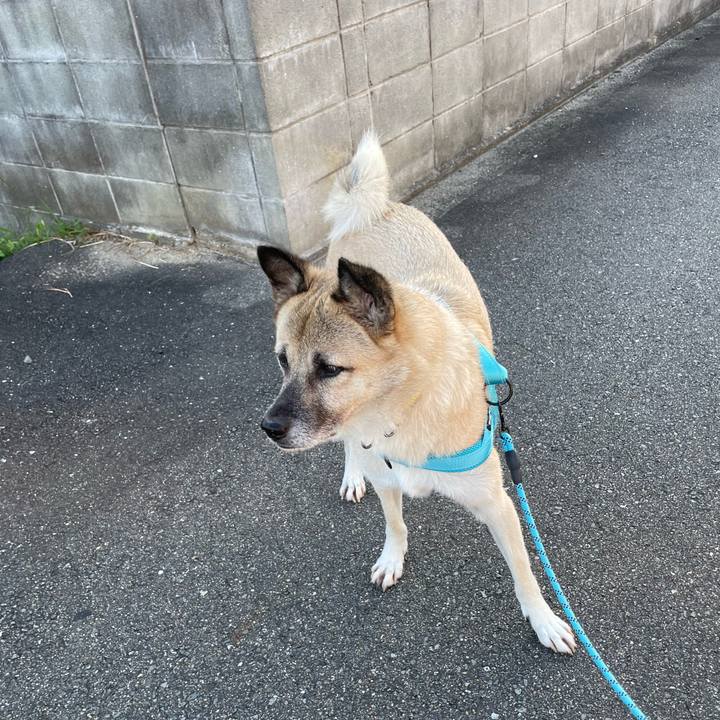 25e7e88b 54ae 41c9 876d 68be75c8de95 1727355385647