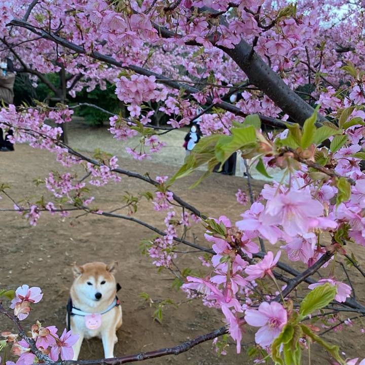 25e7f267 05bc 498a 93c9 738d07395546 1678001049531