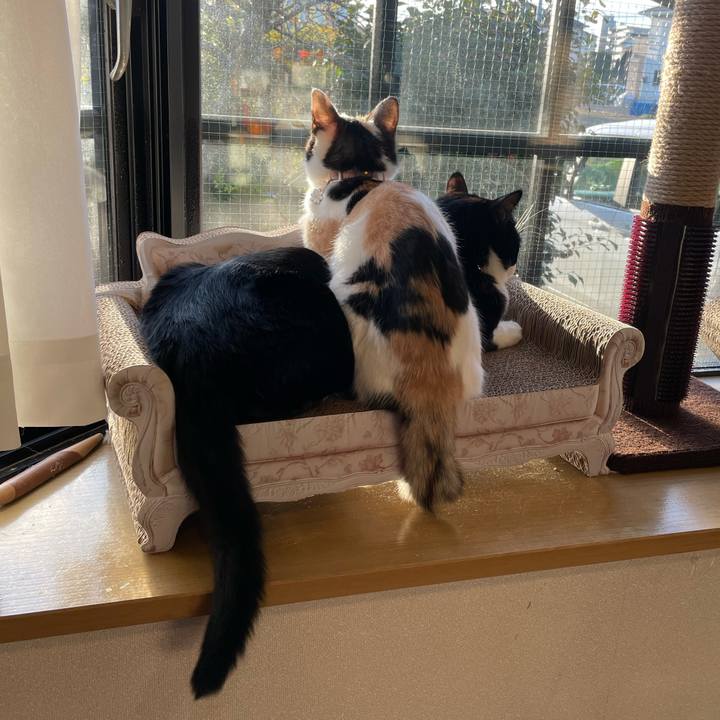 25e863c1 f339 40f3 bef1 3876cab44718 1672959892048