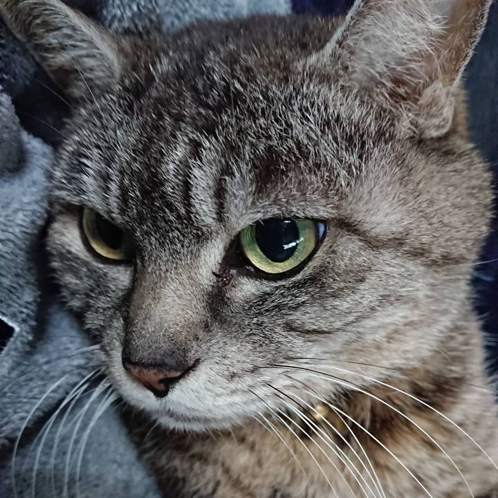 25e86c14 f926 47de 999b cc4c47e4f923 1554411661856