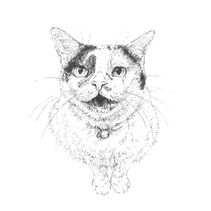 25e880c9 fcae 4e2c ad3c 08acd6466d30 1590672316399