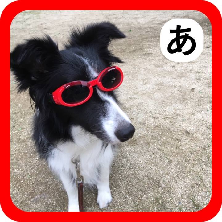 25e8f3a4 9784 4db8 9ee2 a59153098e64 1514792278705