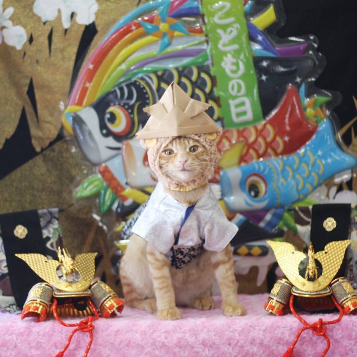 25e904e4 0684 4103 9312 0dc29504f281 1682650856894