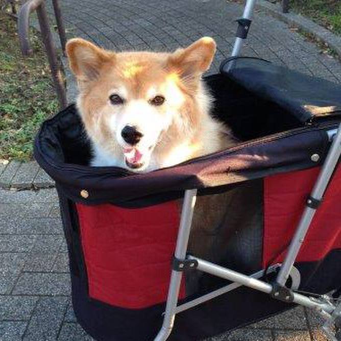 25e9594f a33c 4c5a a78b 92a88a35dc76 1565966815174