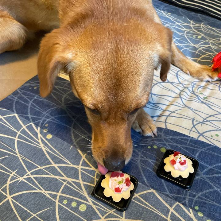 25e96b6e a085 446d 8f5c 939f8c252427 1628227248255