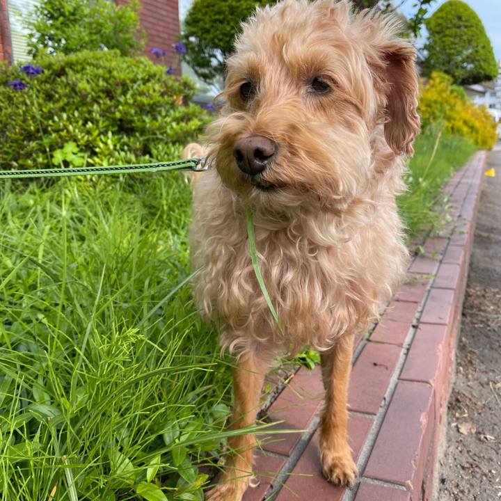 25e9842e 7faa 46a7 8cea 8e5842f2d448 1622675691026