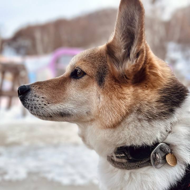 25e98998 dce3 4065 87f8 2fb43af5857e 1769403514471