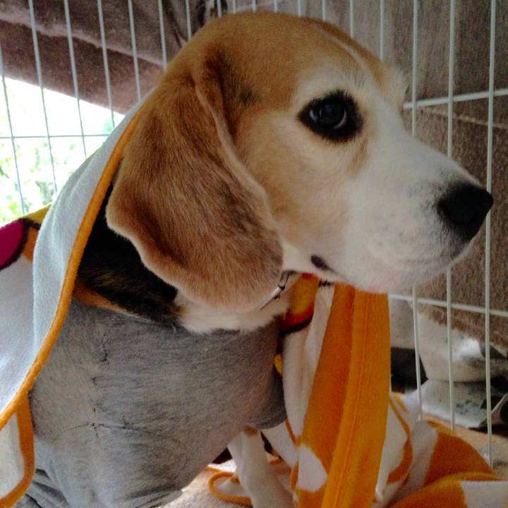 25e98a13 d566 482f bcfa 202383c8c4be 1728079931421