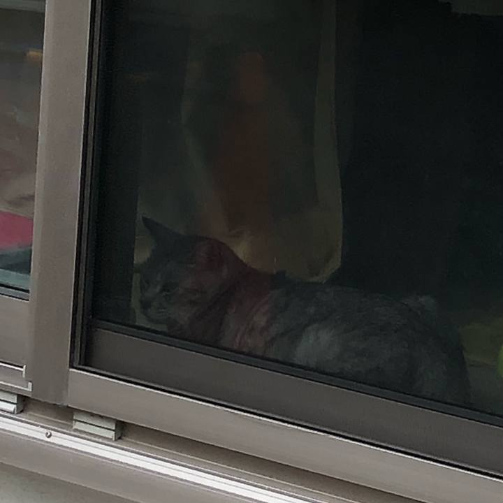 25e98c81 f3c4 4041 a3a9 5804ee3b2be7 1554473634667