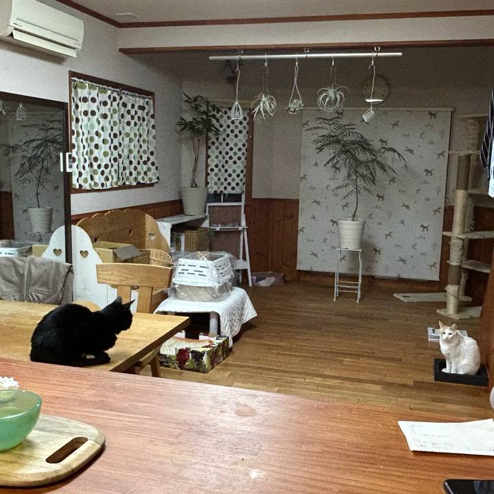 25e9dc74 997b 4aec 8315 e373413387ef 1677754174730