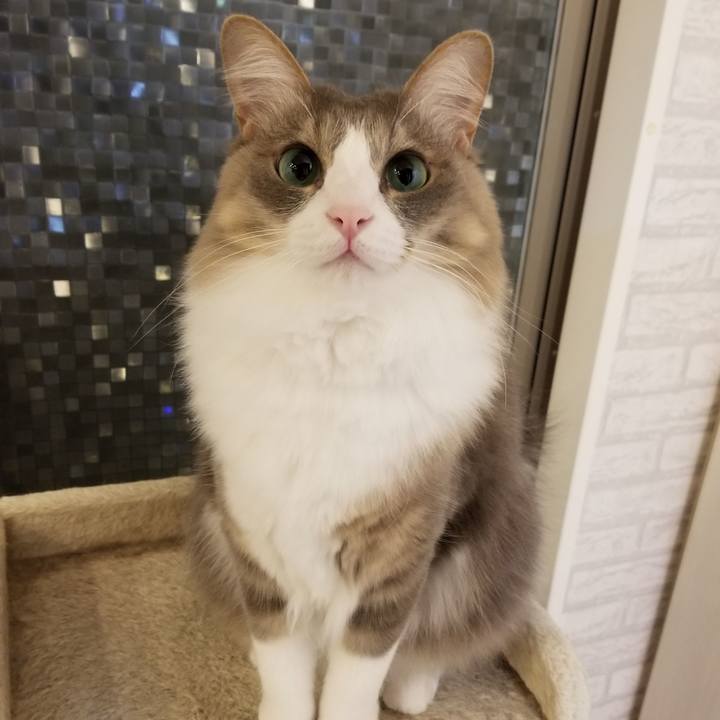 25ea2dbb 556f 4835 993d e30db29ad44e 1585739056166