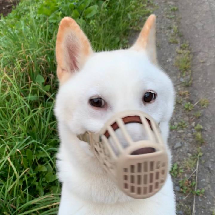 25ea338a 9f44 4e00 9e5d 8b100cdc64a4 1568150522529