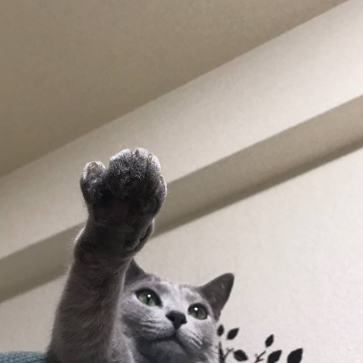 25ea36cd a547 45bc 932b 906029158914 1542839106110