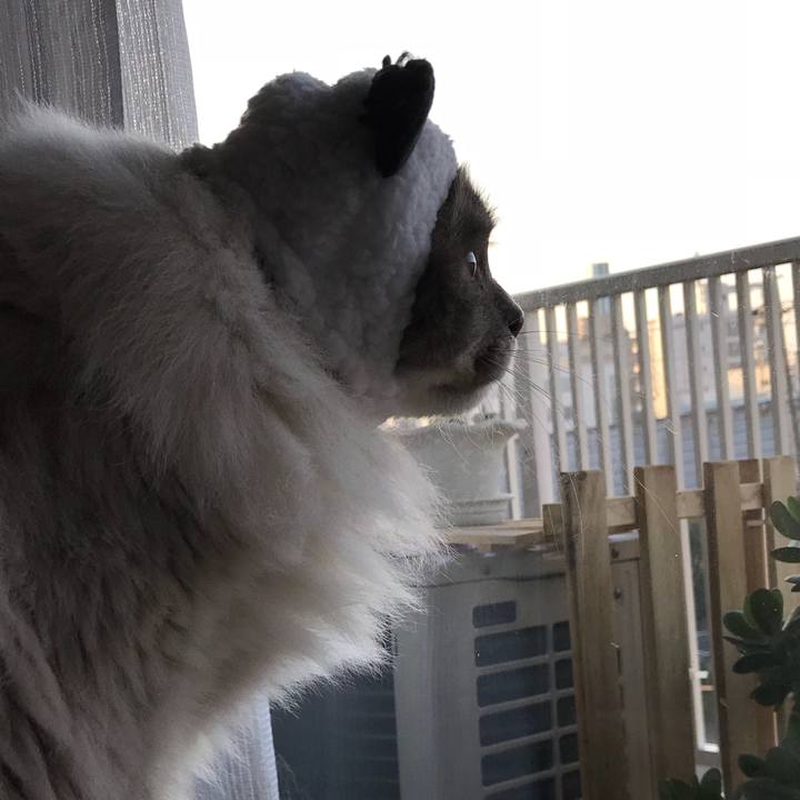 25ea4302 6a8c 4efa adfb e71b91ec6f90 1522102073241