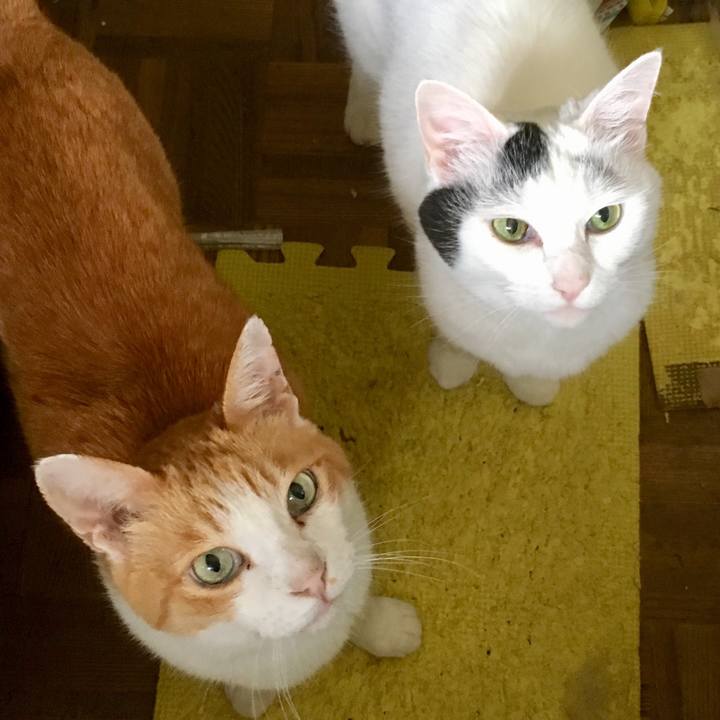 25ea91a2 d9bb 4d74 b5d3 5f247898121b 1564543411008