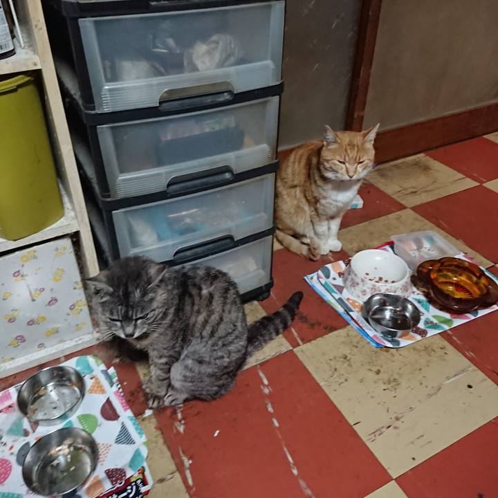 25ea9655 5e6c 473b a13a e6665cb48769 1588323404197