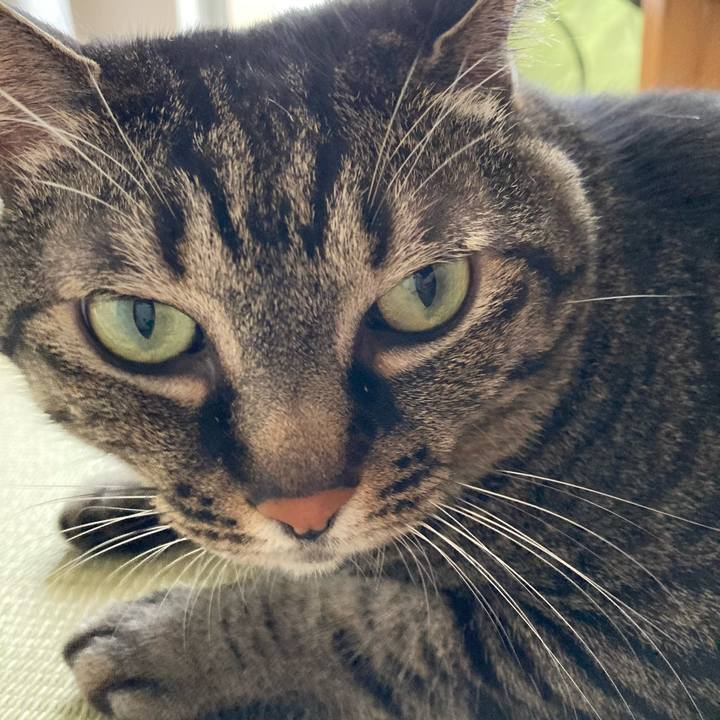 25eabb65 555b 44fb 91dd e5915fdb9c5e 1655641278128