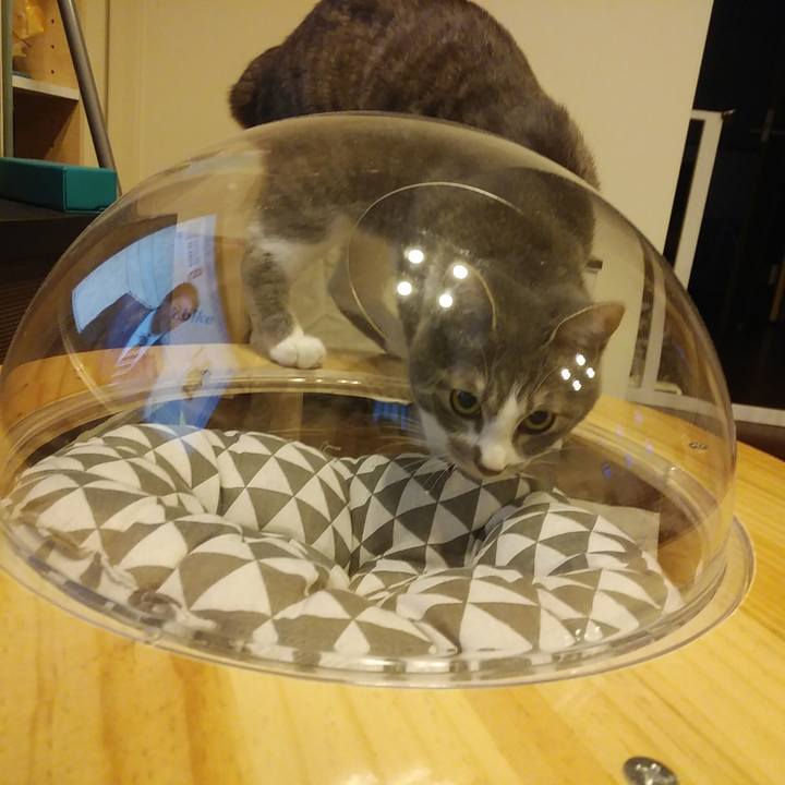 25eadd71 c3b5 4bf7 b169 2054a40b4108 1587115149142