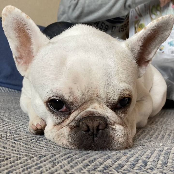 25eb150a d22a 4c37 9ca7 c9a03b2b6e5f 1686093317827