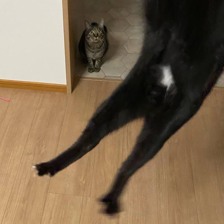 25eb20a0 8f13 40be 9c0d c9863a8f2b68 1619177122165