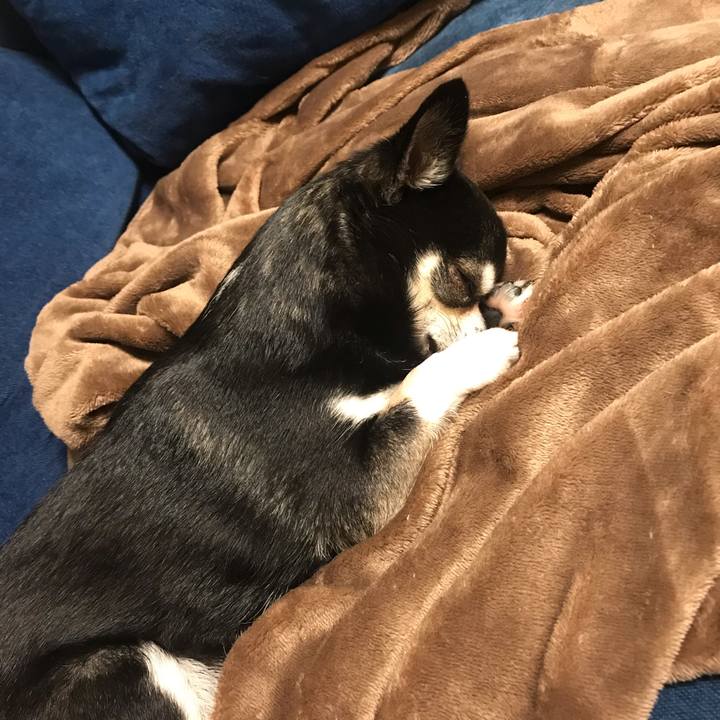 25eb3f8c a2dd 4cbb 9a6f 98a466539954 1555591414355