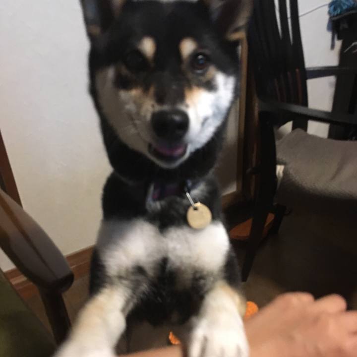 25eb5099 c669 4fcb 8a91 fd8174fa36fc 1531865100748