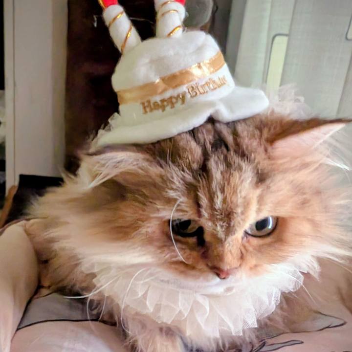 25eb9cbc b824 4951 a09f 3b1e9ce1f607 1765852547874