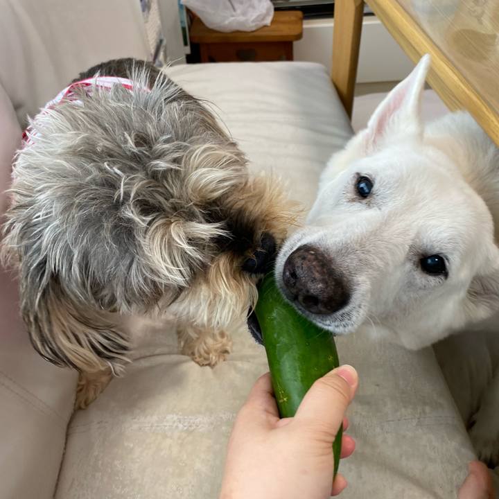 25ebd8a7 a9a1 43ce 835c 53a3e5ca82d8 1658118142964