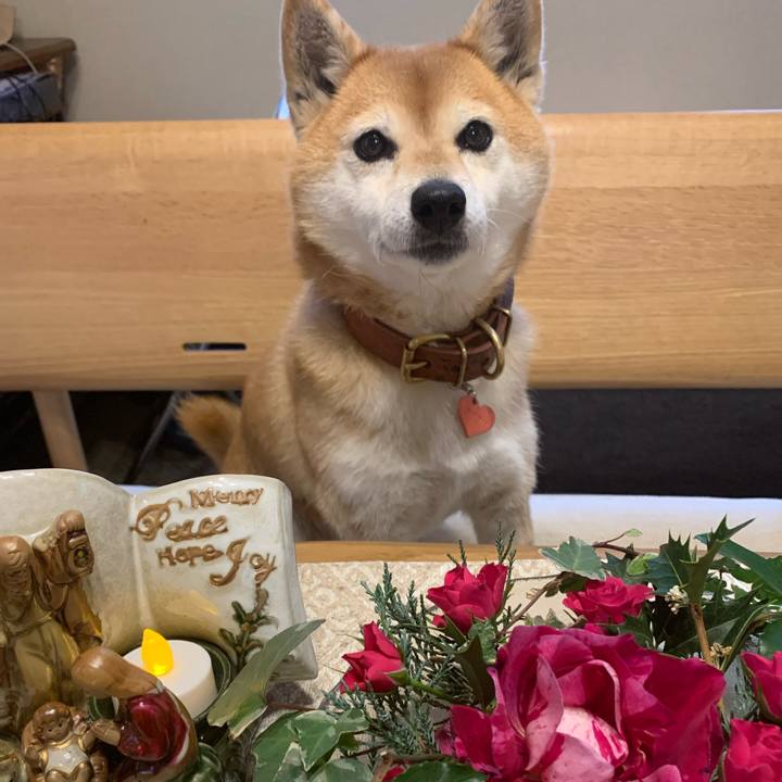 25ec1ce4 47e2 4f0e b6cb c4b9a994abab 1608801679684