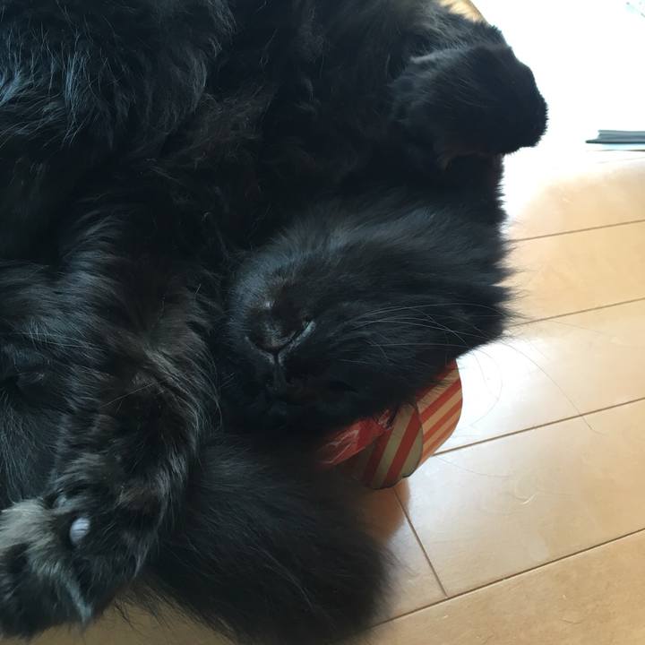 25ec3cce 87f6 4e57 9961 4a579cc84b6a 1529383186486