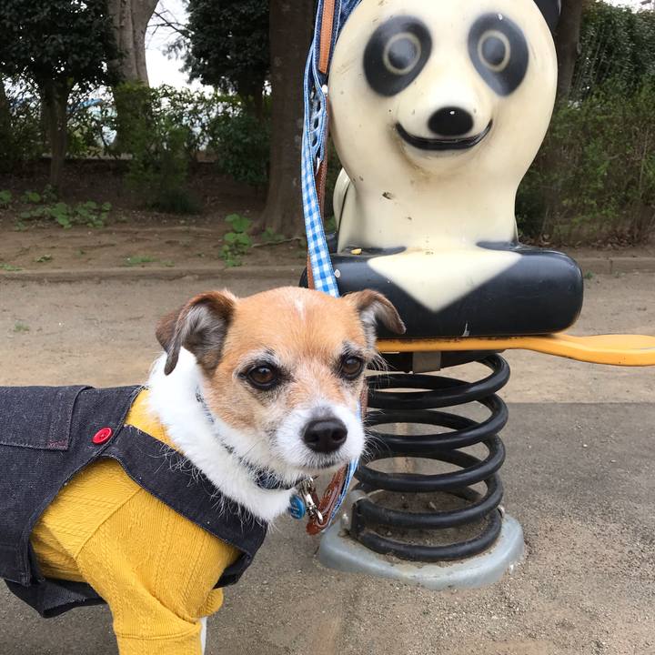 25ec408f 5330 46e5 b86e 3065de3d1450 1553760964593