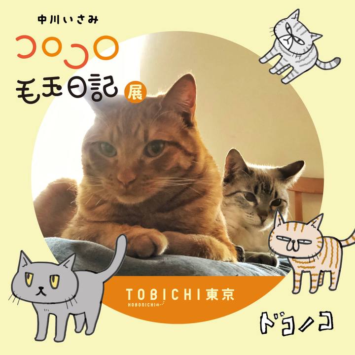 25ece249 ce5d 4df4 b53e 1dc46487c740 1740180525679