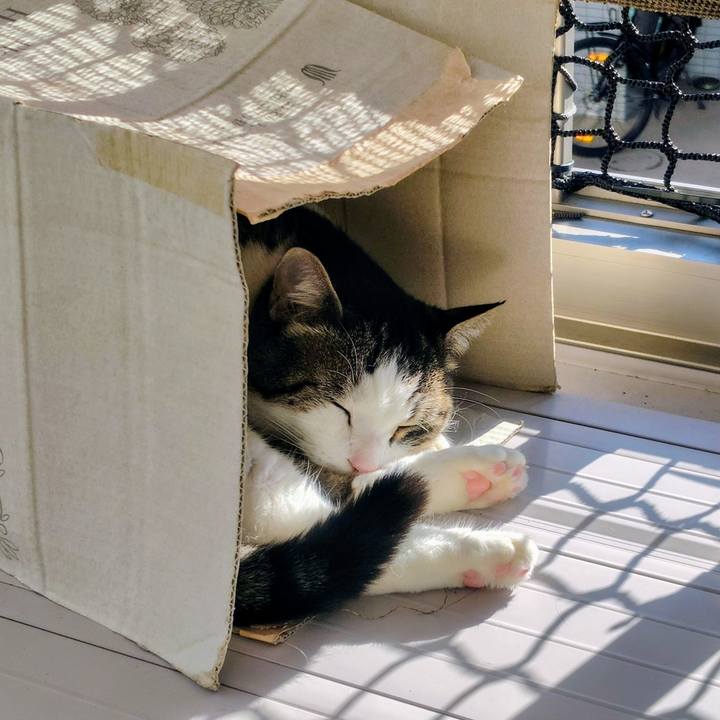 25eceebb 565d 4d9c b58b ead5f538b4fa 1765082693706