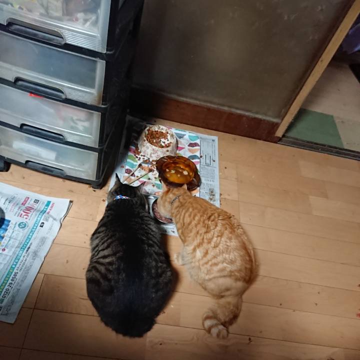 25ed0ef4 a236 4dd2 98e5 adafa73cb558 1657659495884