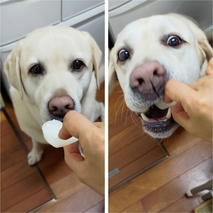 25ed4839 8773 4671 be46 a70997df1c81 1721884466677