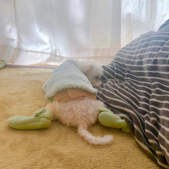 25ed7945 5bb9 460a b7ef 16bc55bce761 1548570581803