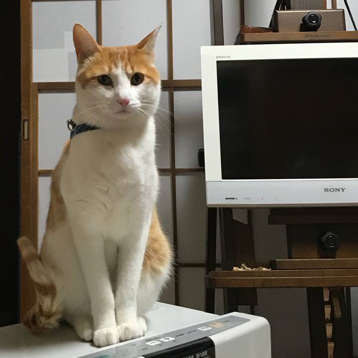 25eda390 7520 407d b233 56158fd43c87 1513599061842