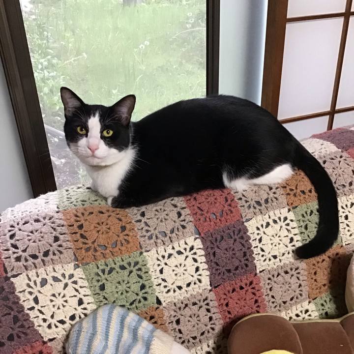 25edd8f3 1093 4a4e a68d 87c1152831fc 1650792104738