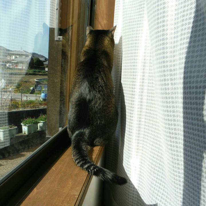 25edebce 47f6 44ec 94f3 bc876d6f17f7 1552374788442