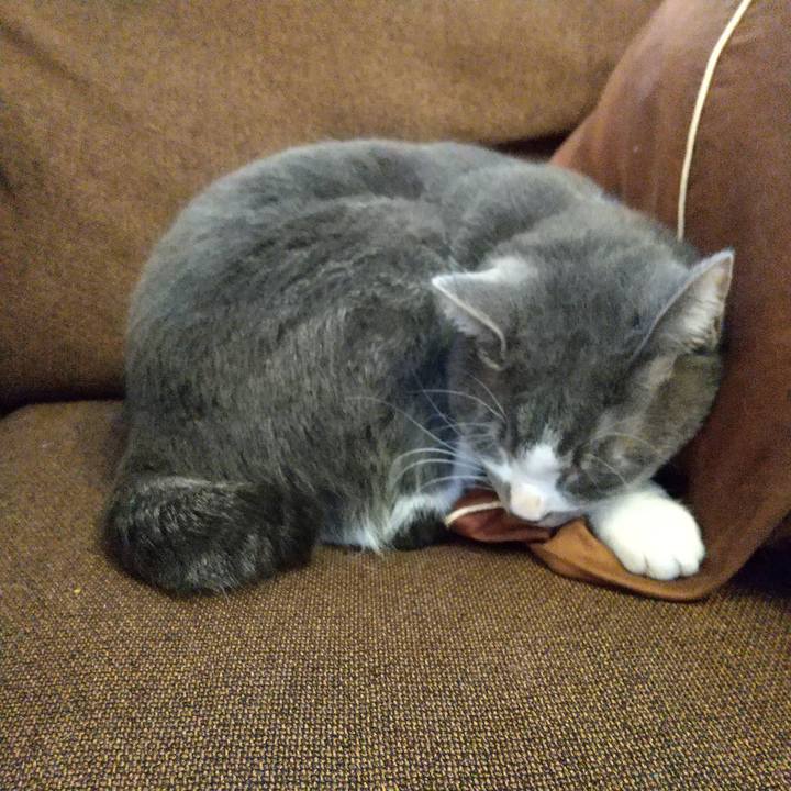 25ee5367 6c19 42a0 abdd 89edc3d2d381 1610248648562