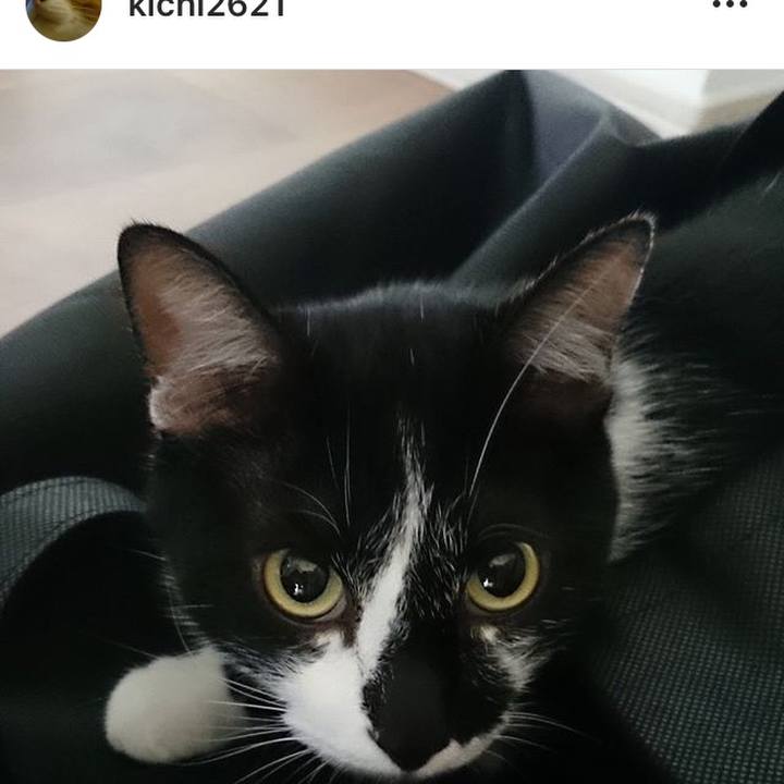 25ee55e9 dda8 45ef 9622 6ac981bf54b5 1536281534319