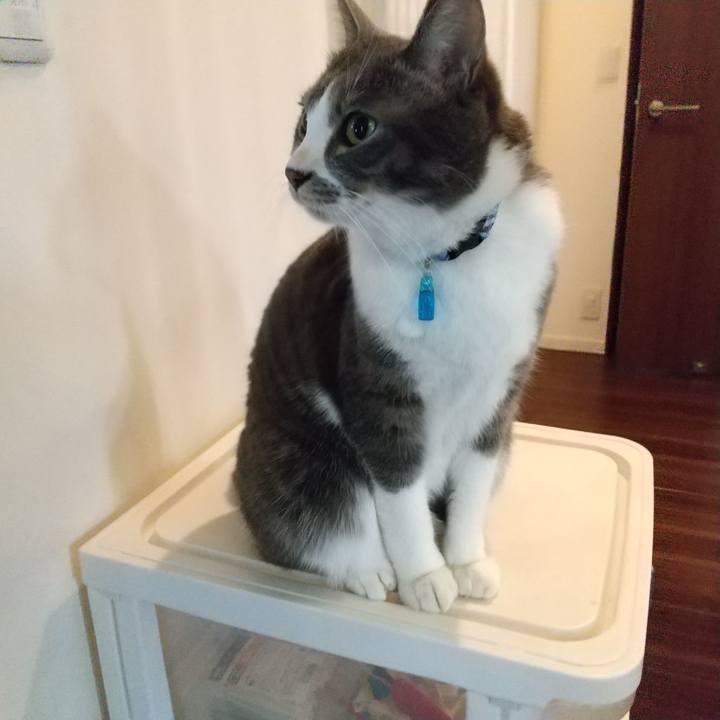 25ee7c14 2b97 459c aebb 4cda4416e9d1 1610323519669