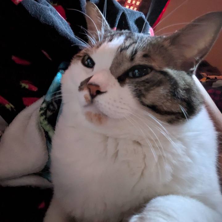 25eeb8e2 dab2 4c2a a7c2 e5dda2ba0dee 1765067910784